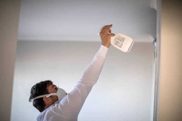 Best Emergency Mold Removal  in Slayton, MN