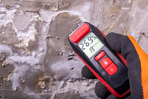 Best Mold Damage Repair  in Slayton, MN