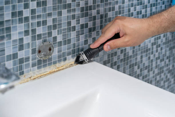 Best Office Mold Removal Services  in Slayton, MN